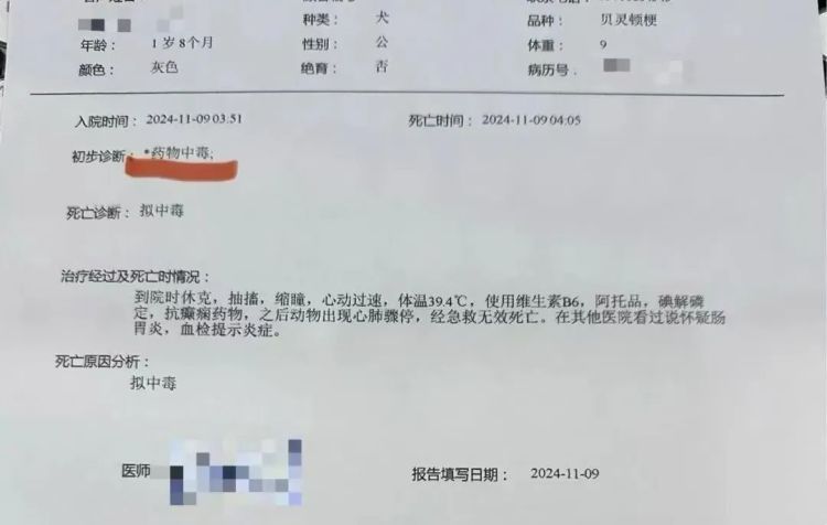 超40只宠物狗疑似中毒死亡，谁该担责？