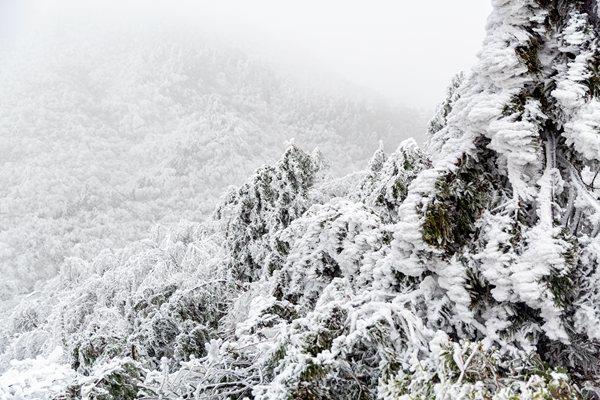 邂逅冰雪奇缘！小雪节气全国赏雪地图出炉 带你解锁限定美景