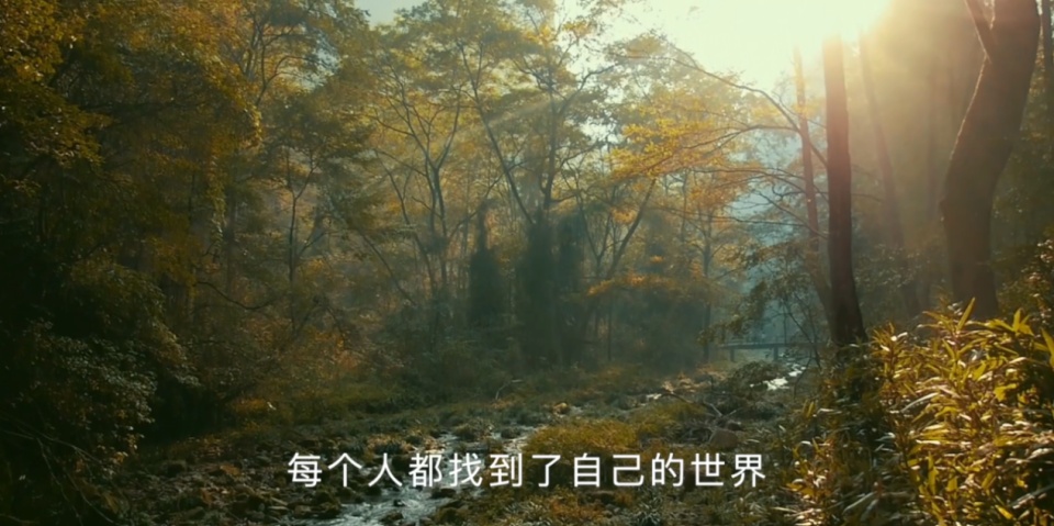 张家界宣传片火到外网，韩国教授留言：但愿有机会带重病夫人再去一次