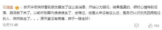 知名作者去世,谭松韵任嘉伦发文悼念!网友:刚刚看完她的新作 知名作者去世,谭松韵任嘉伦发文悼念!网友:刚刚看完她的新作
