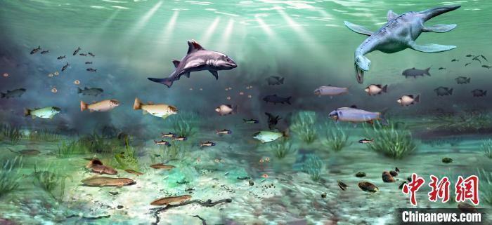 三叠纪大灭绝后陆地生态如何复苏？1.9亿年前“渝州生物群”揭秘