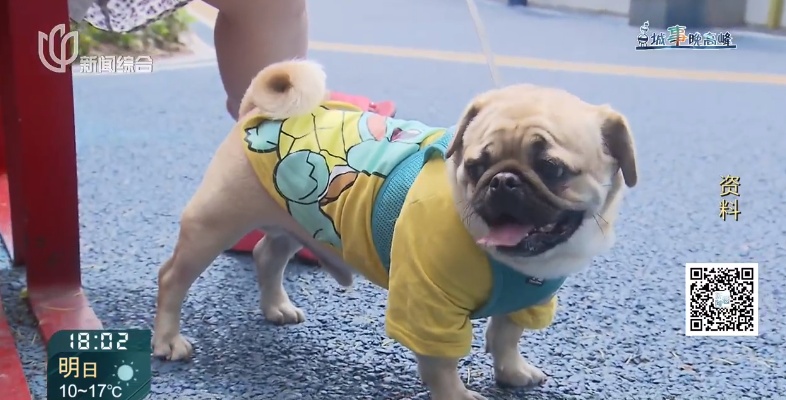 需求量激增!上海一小区楼下开了这类殡仪馆 需求量激增!上海一小区楼下开了这类殡仪馆