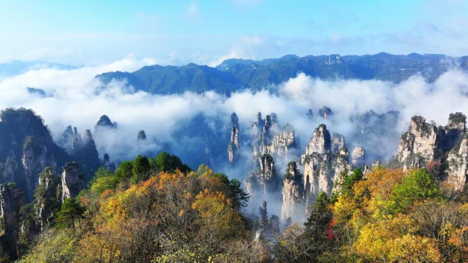 张家界国家森林公园初冬出现壮丽云海,或将在12月迎来首场降雪 张家界国家森林公园初冬出现壮丽云海,或将在12月迎来首场降雪