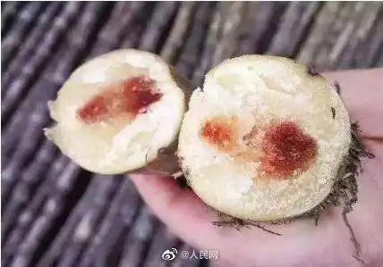 正大量上市！不要吃！不要吃！不要吃！