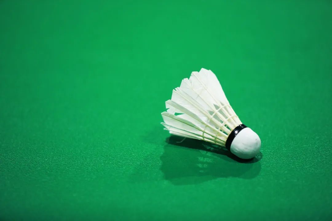 一项被低估了的“长寿运动”,至少带来5大好处!不是跑步、游泳 一项被低估了的“长寿运动”,至少带来5大好处!不是跑步、游泳