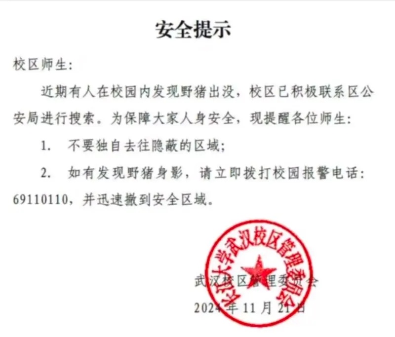 警方确认：当场击毙！