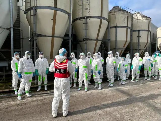 日本暴发高致病性禽流感!已扑杀120万只禽类 日本暴发高致病性禽流感!已扑杀120万只禽类