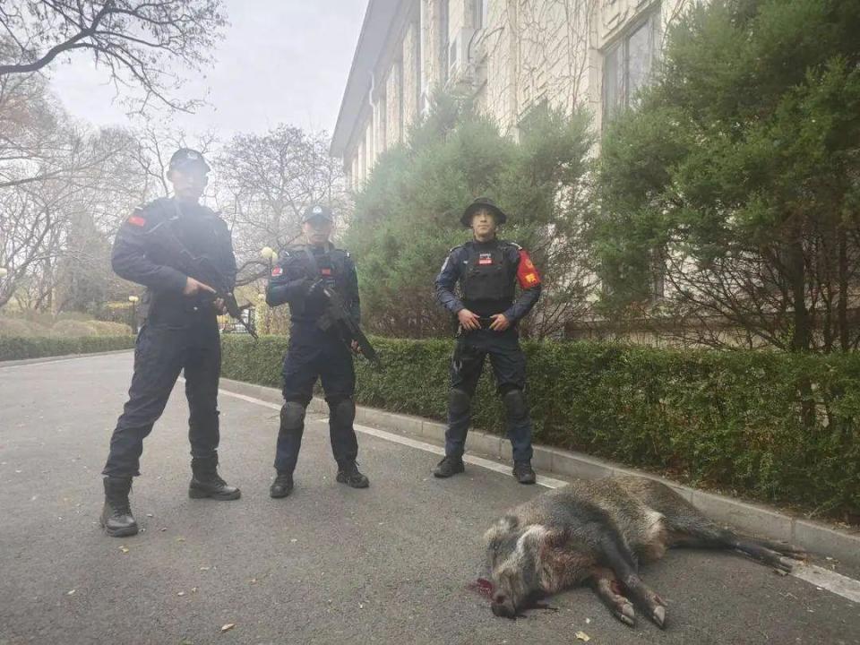 三名特警先后开枪！七声枪响后当场击毙