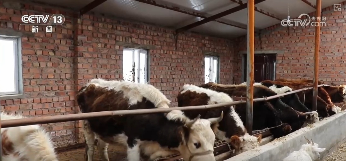 本轮寒潮天气有何特点?寒潮与冷空气有何区别? 本轮寒潮天气有何特点?寒潮与冷空气有何区别?