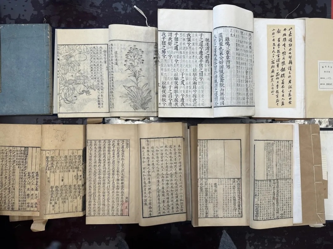 复旦馆藏《诗经》古籍影印出版，大量孤本首次公开