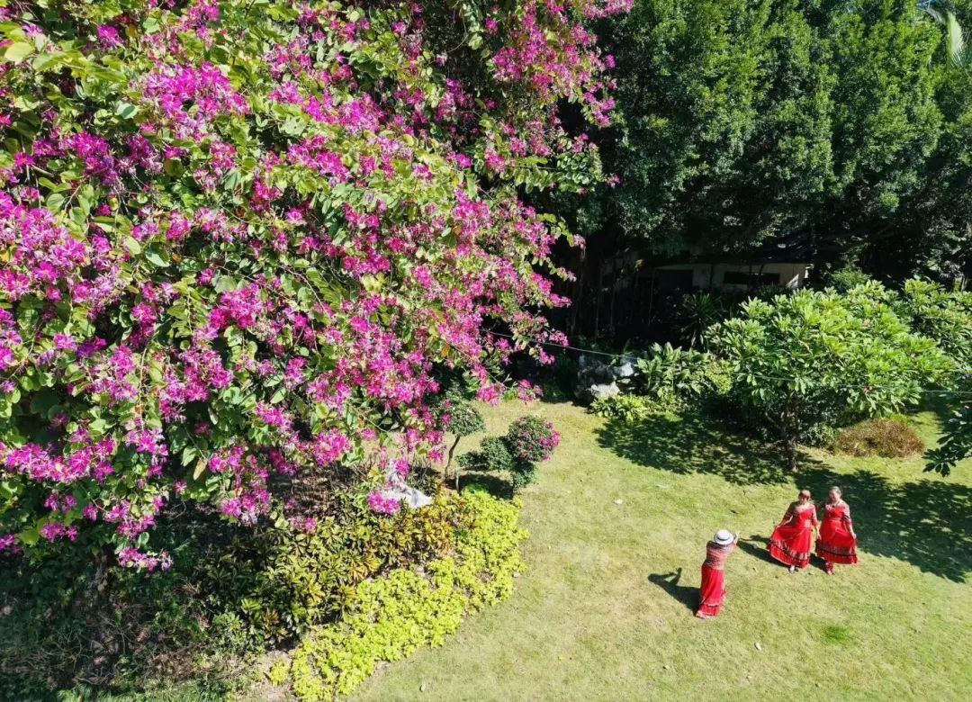 南宁正式入秋！广西将迎大风+降温+降雨，最低0℃