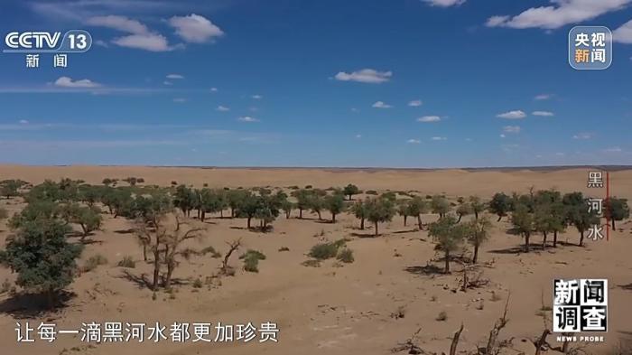 从湖泊干涸到胡杨林面积增加 这条河全流域“立大功”