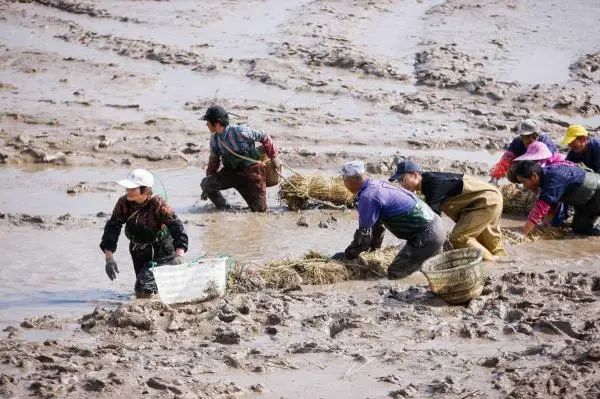 放冬塘熬鱼汤！象山西沪港再现古老渔家庆典