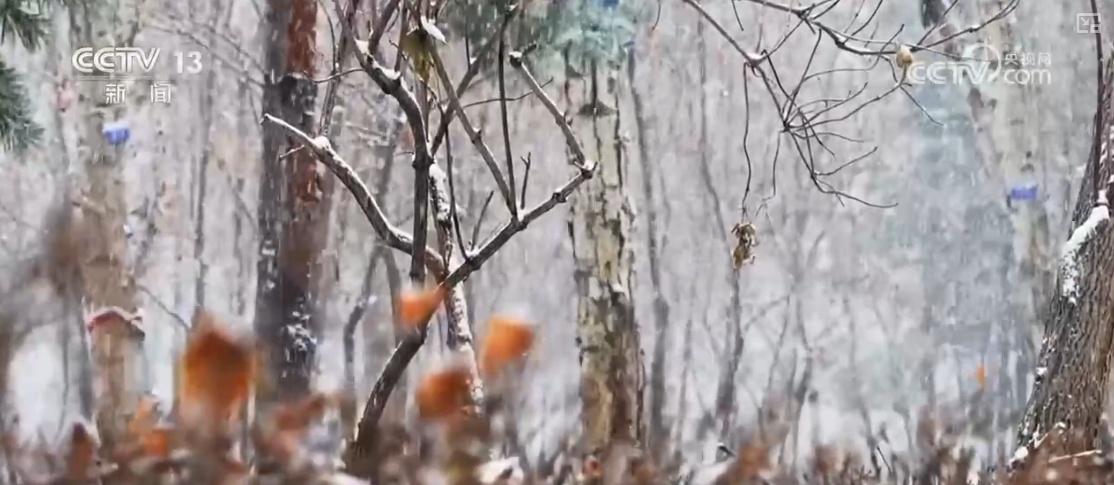 本轮寒潮天气有何特点?寒潮与冷空气有何区别? 本轮寒潮天气有何特点?寒潮与冷空气有何区别?