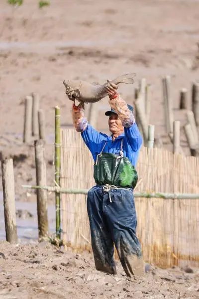 放冬塘熬鱼汤！象山西沪港再现古老渔家庆典