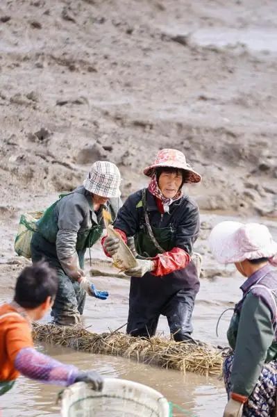 放冬塘熬鱼汤！象山西沪港再现古老渔家庆典