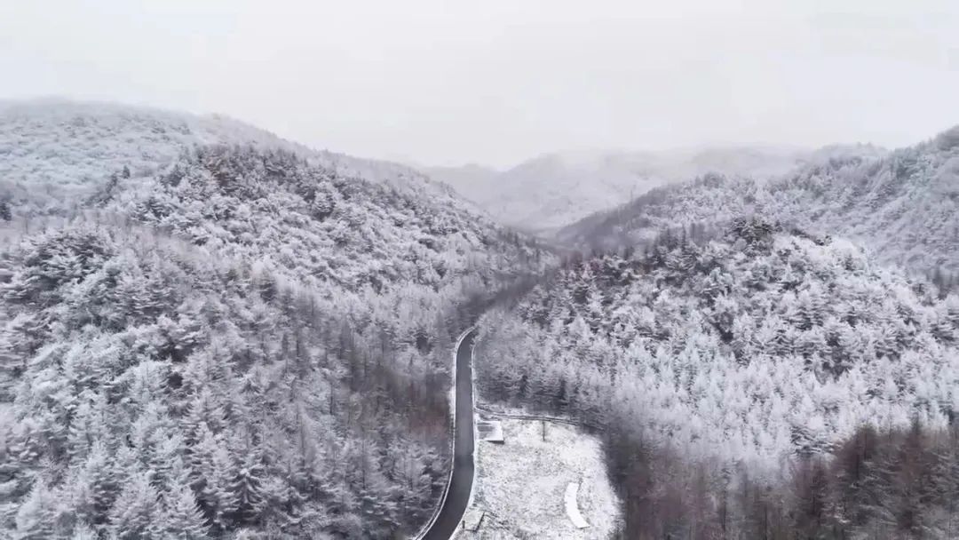 初雪，太美了！重庆“降雪群聊圈”正在扩大→