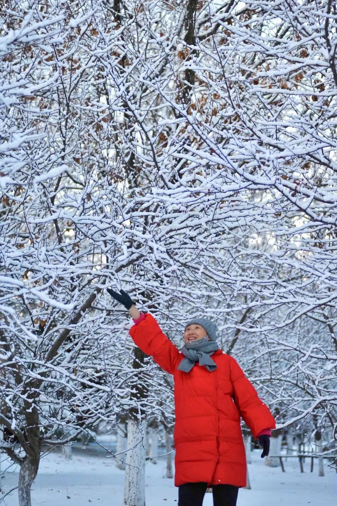 局部有暴雪！寒潮橙色预警！关于这场雨雪到来时间，沈阳气象台今晨发布最新预报！