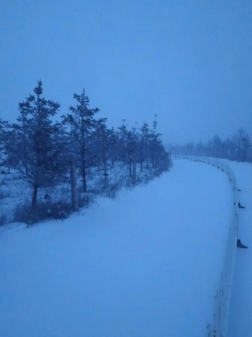 北京下雪了！最新雪景图——