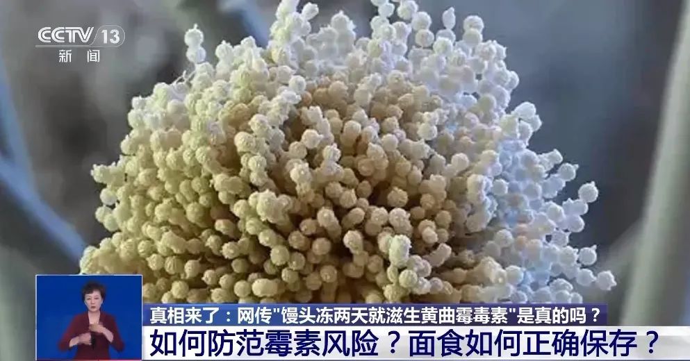 馒头放冷冻,会长剧毒的黄曲霉素?无数网友不淡定了 馒头放冷冻,会长剧毒的黄曲霉素?无数网友不淡定了