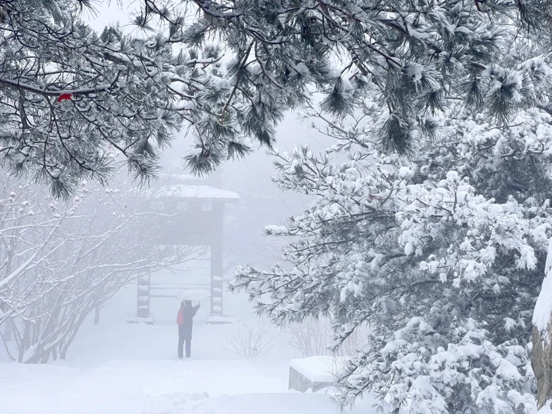 济南今冬第一场雪，开下！山东这里积雪已达暴雪等级！最新雨雪寒潮预报