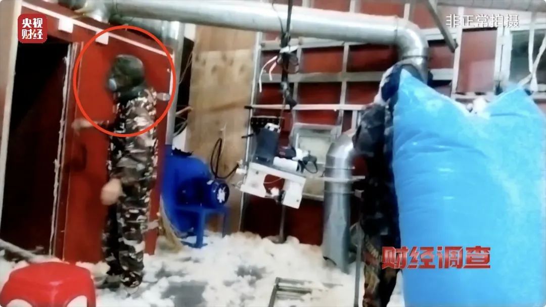 消失的羽绒！羽绒制品造假产业链曝光！你的孩子可能正在穿→