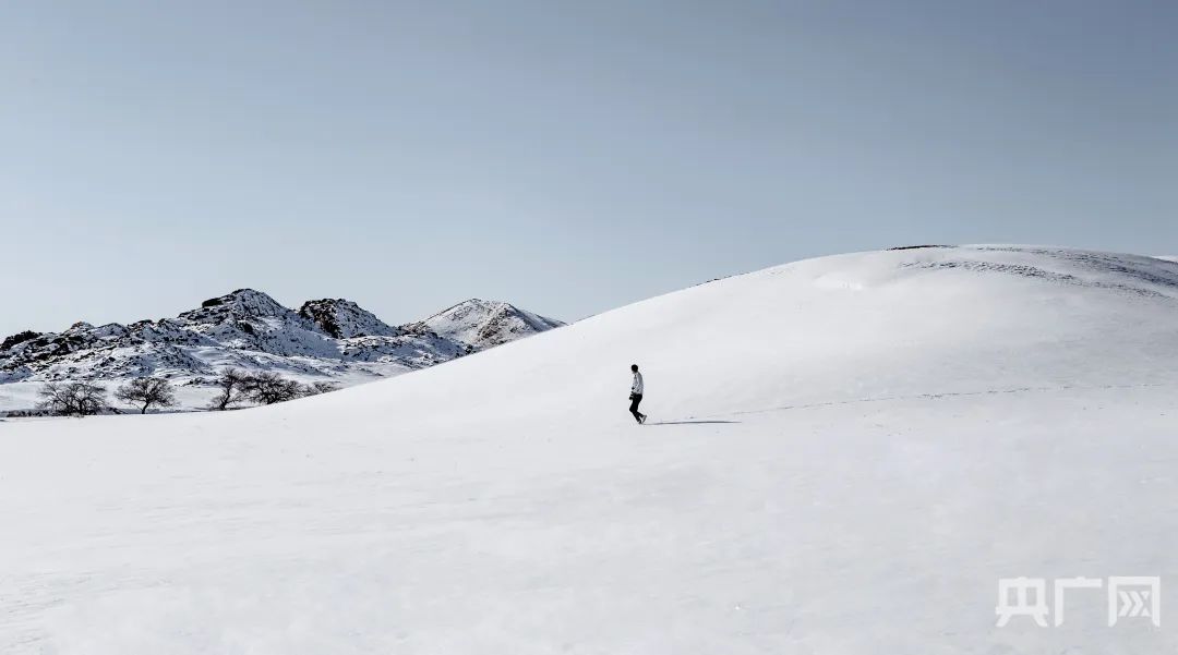 寒潮威力显现！多图直击北方降雪现场→