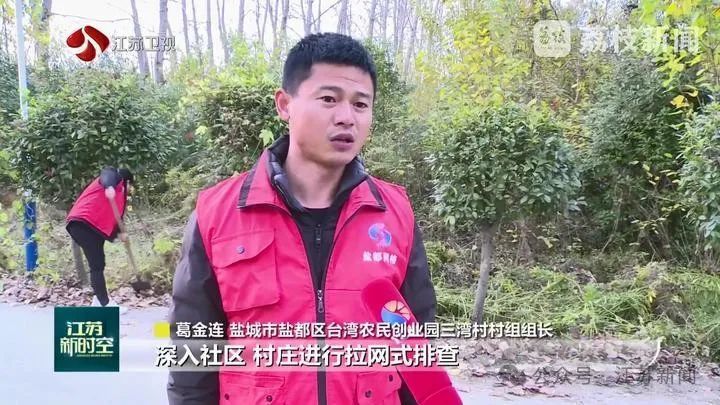 江苏已除治4.4万亩！看到立即上报，千万别碰