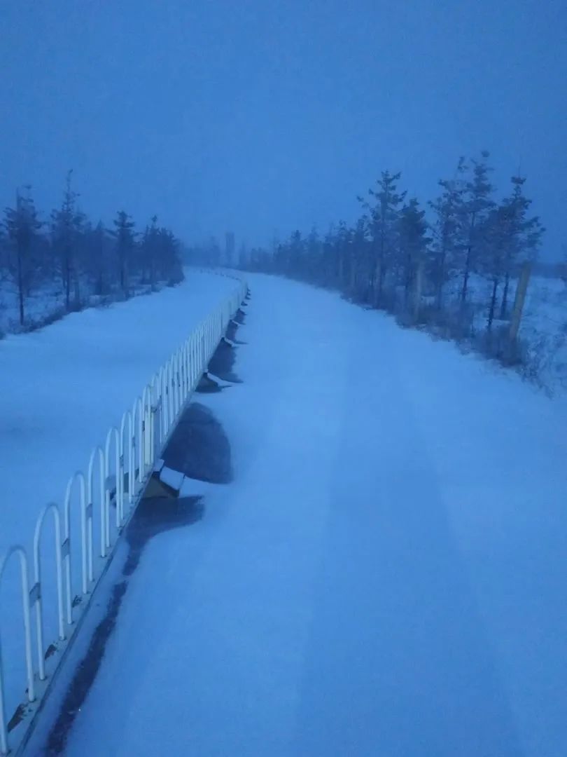 北京下雪了！最新雪景图——