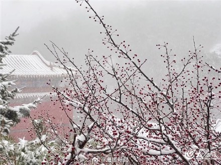 泰山迎来今冬首场降雪