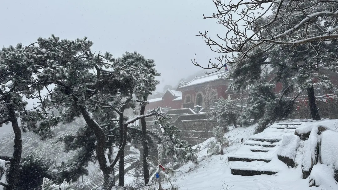 济南今冬第一场雪，开下！山东这里积雪已达暴雪等级！最新雨雪寒潮预报