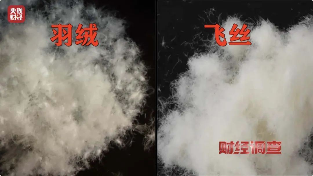消失的羽绒！羽绒制品造假产业链曝光！你的孩子可能正在穿→