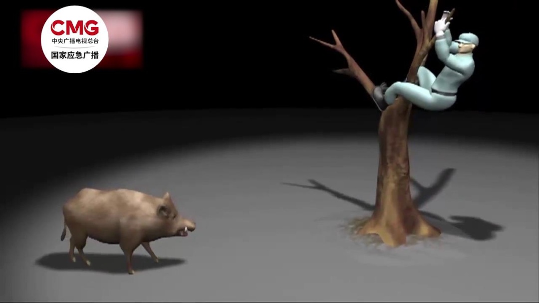 突发!野猪闯入民宅疯狂撕咬老人致死,三条狗也拦不住,最新消息→ 突发!野猪闯入民宅疯狂撕咬老人致死,三条狗也拦不住,最新消息→