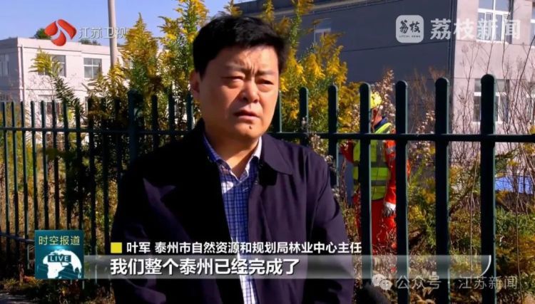 江苏已除治4.4万亩！看到立即上报，千万别碰