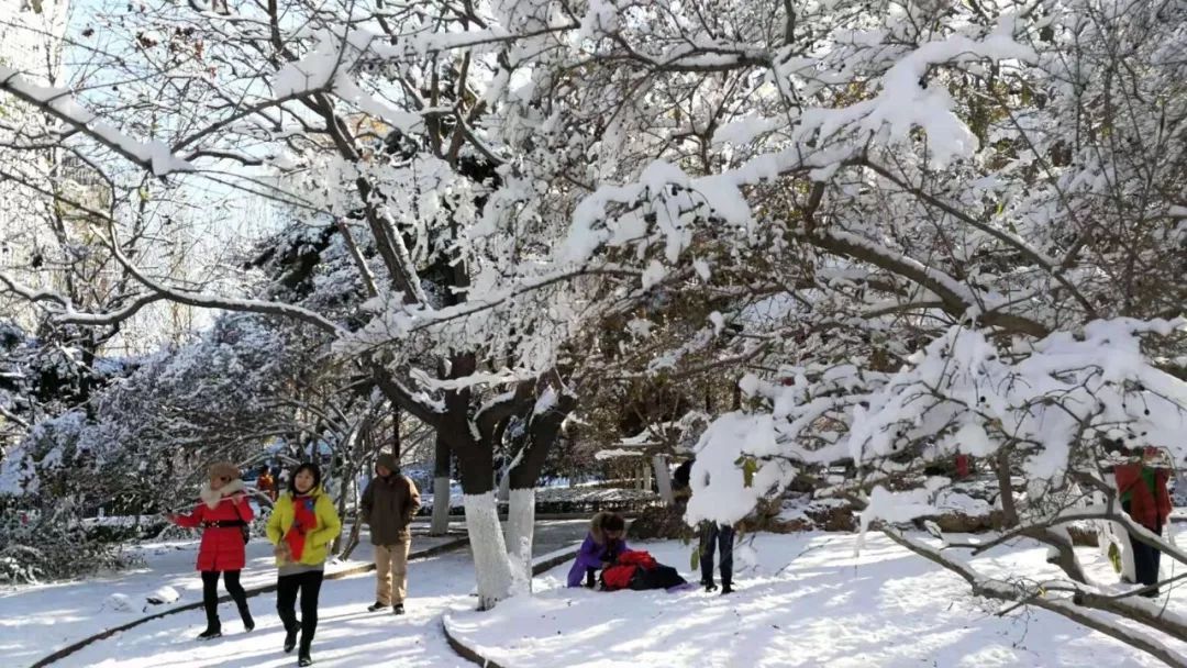 局部有暴雪！寒潮橙色预警！关于这场雨雪到来时间，沈阳气象台今晨发布最新预报！