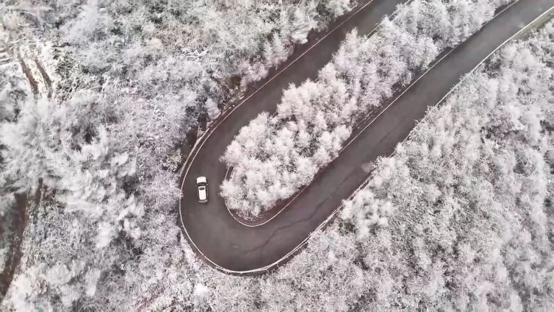 初雪，太美了！重庆“降雪群聊圈”正在扩大→