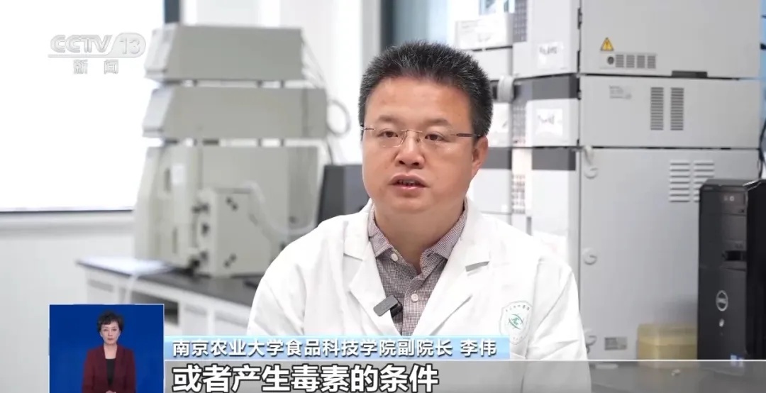 馒头放冷冻,会长剧毒的黄曲霉素?无数网友不淡定了 馒头放冷冻,会长剧毒的黄曲霉素?无数网友不淡定了