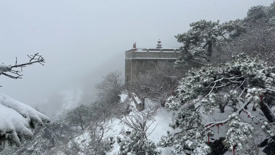 济南今冬第一场雪，开下！山东这里积雪已达暴雪等级！最新雨雪寒潮预报