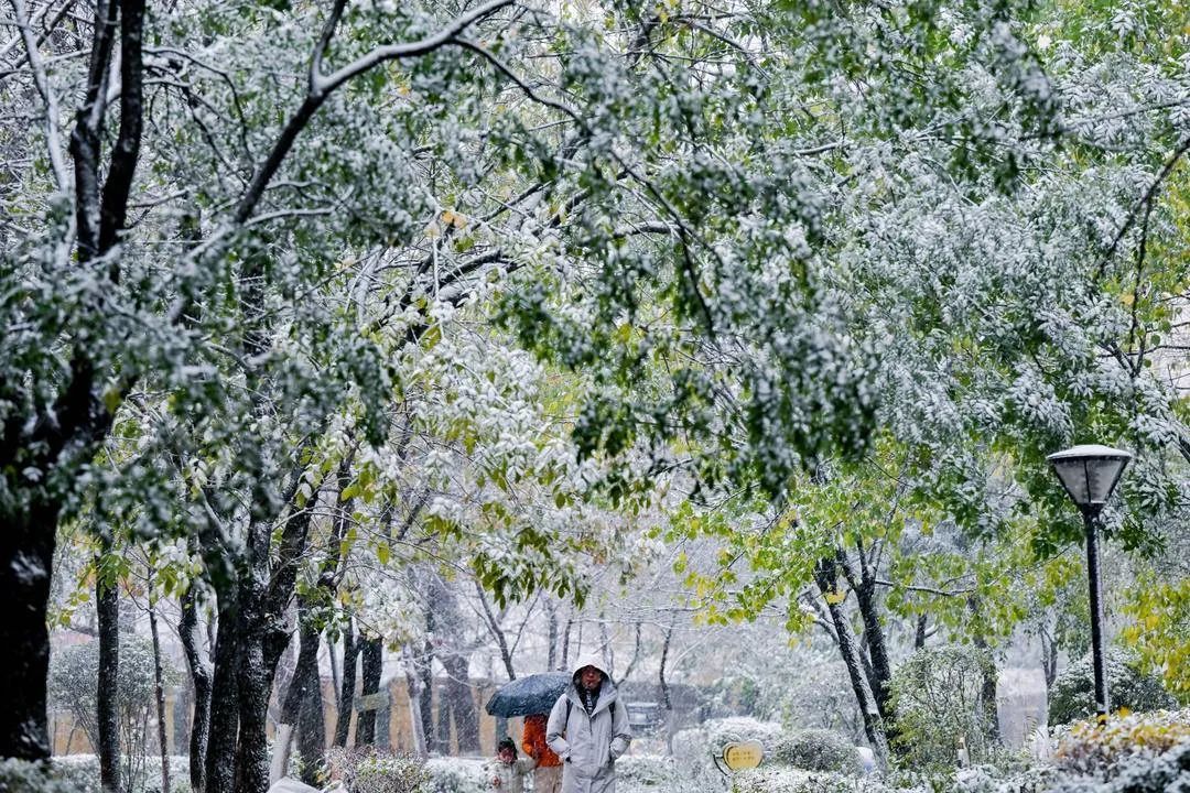 辽宁湿雪预警！暴雪预报升级！可能有冻雨！沈阳城区降雪时间就在