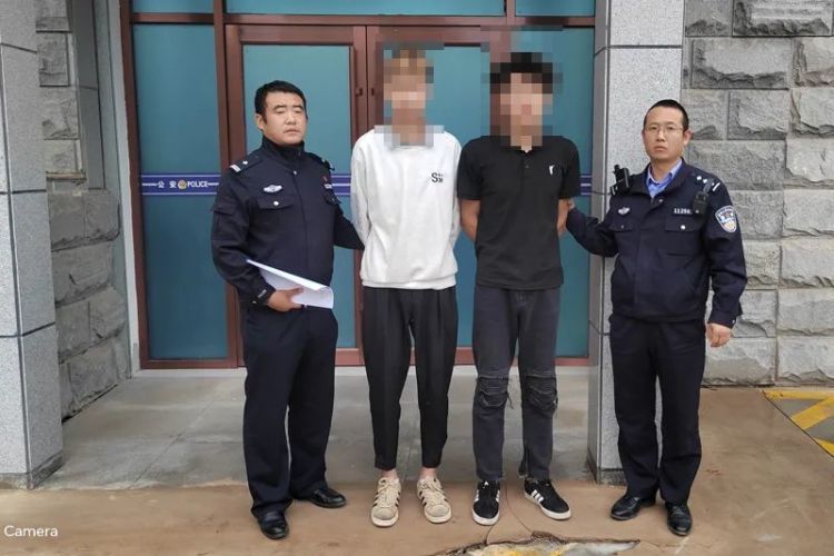 11名“偷羊贼”落网 安定公安破获系列盗窃羊群案 11名“偷羊贼”落网 安定公安破获系列盗窃羊群案