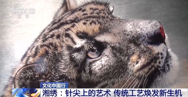 绣花生香绣虎传神 是哪种针法让湘绣栩栩如生？