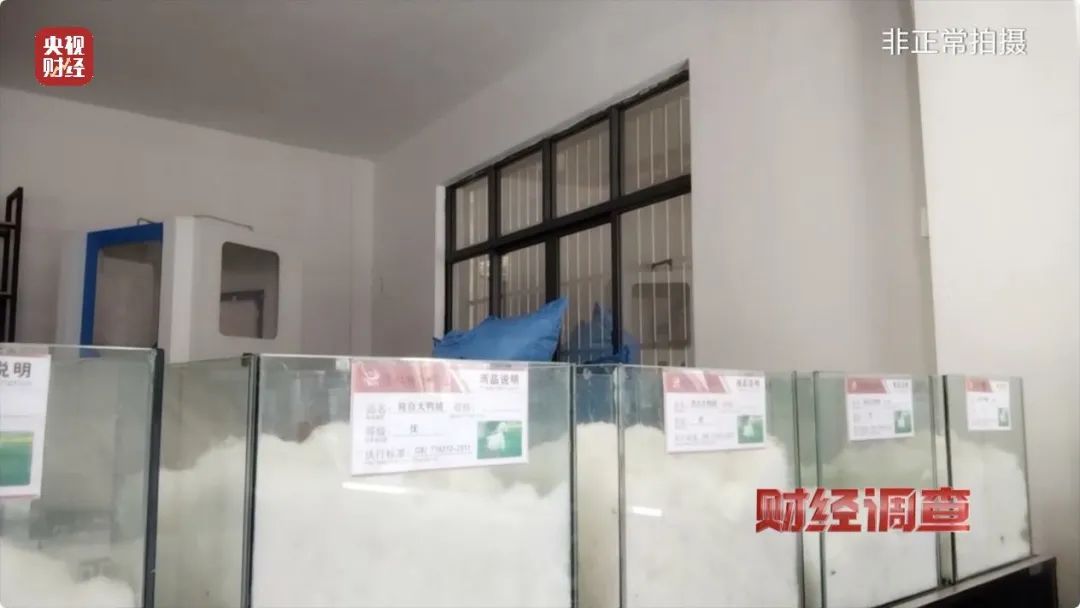消失的羽绒！总台曝光羽绒制品造假产业链