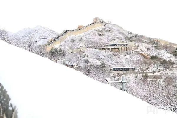 寒潮威力显现！多图直击北方降雪现场→