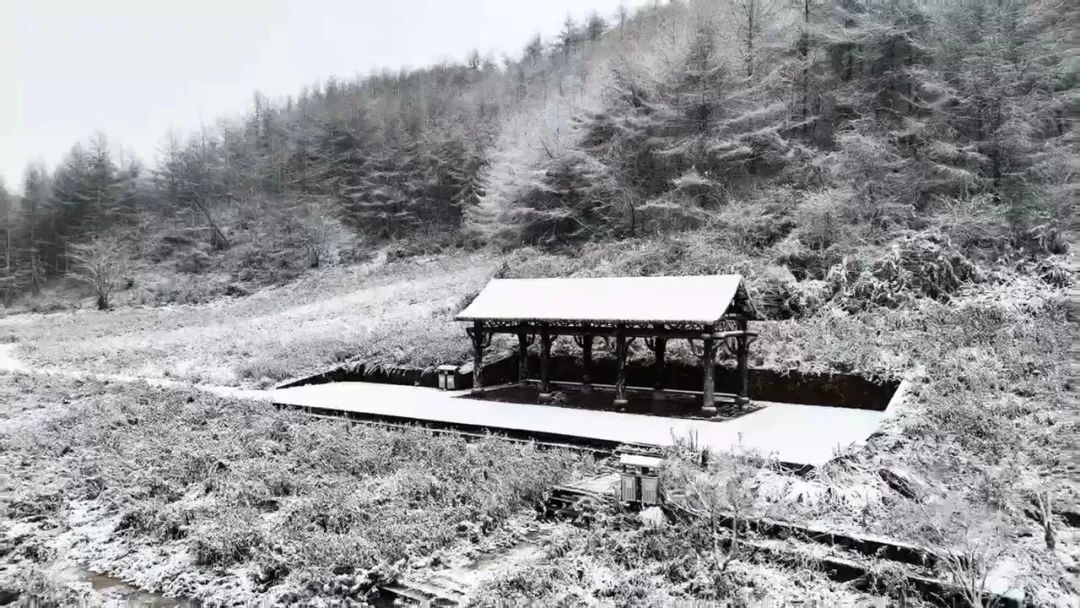 初雪，太美了！重庆“降雪群聊圈”正在扩大→