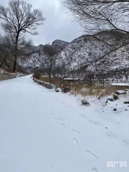 寒潮威力显现！多图直击北方降雪现场→