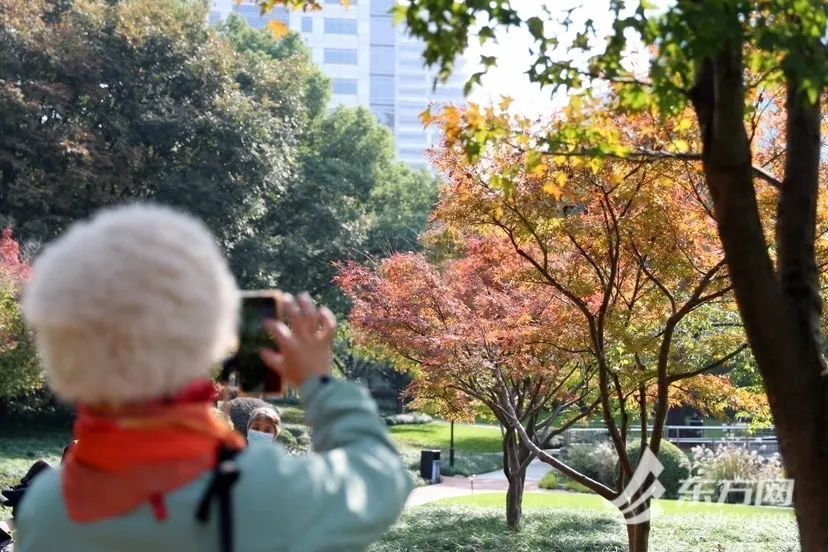 寒潮发威，更冷→最冷！上海晴冷继续升级，周四早晨市区最低3℃，郊区仅1℃