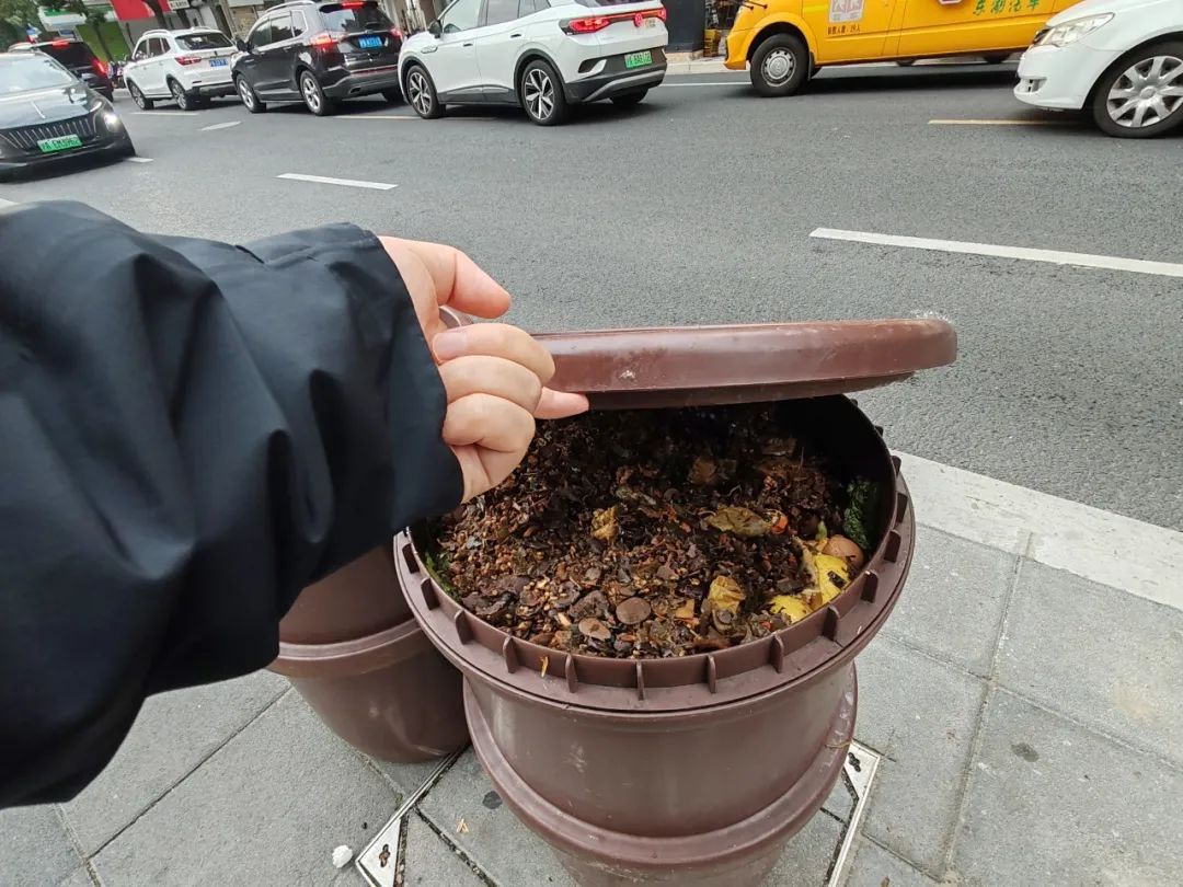 上海一小区居民遭遇“密集恐惧”：看着恶心听着闹心，一个月投诉了N次……