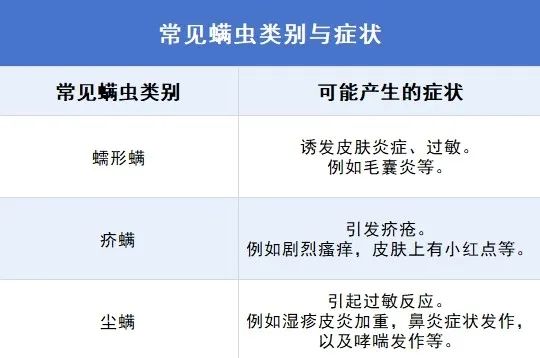 只洗床单不做这件事,你的床永远是脏的 只洗床单不做这件事,你的床永远是脏的