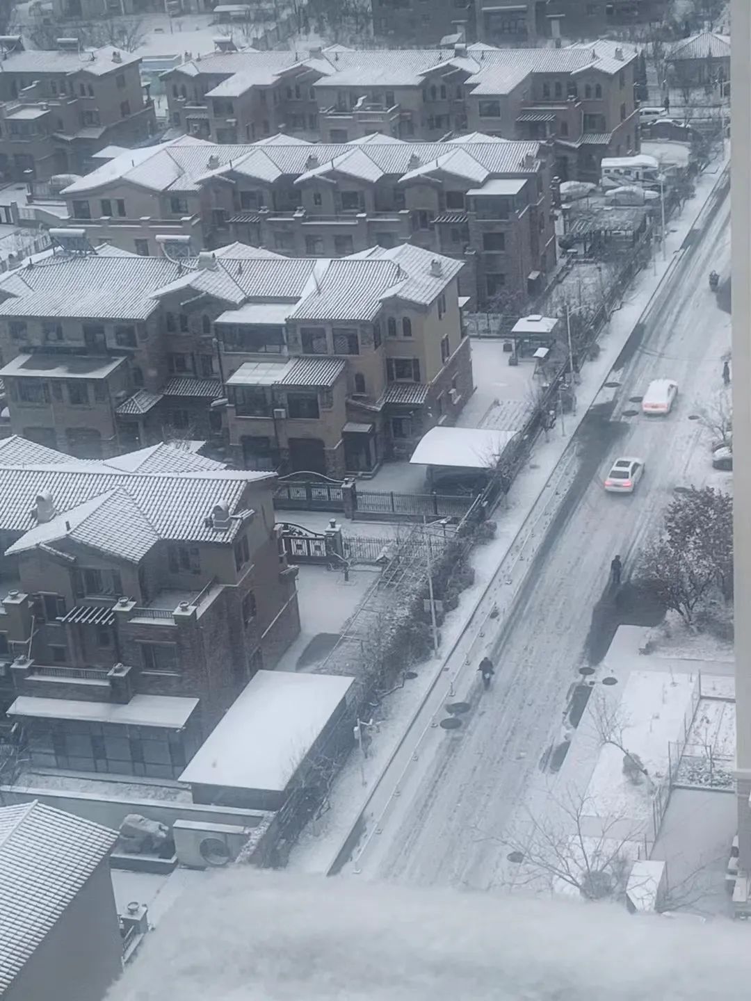 一觉醒来，沈阳全白了！辽宁多地发布道路结冰黄色预警