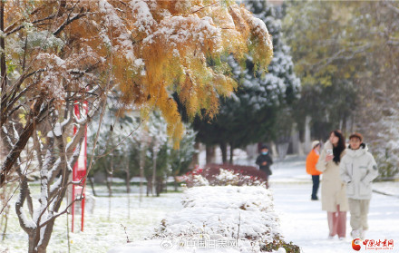 一夜雪絮至 金城披银装
